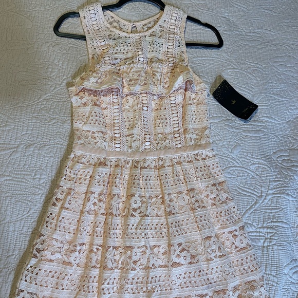 Disney Dresses & Skirts - Disney Blush Pink Lace Dress